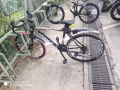 自行车出售