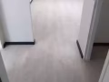 新加坡本地注册公司，安装强化木地板，PVC地板，价格合理