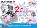 $0.025分/0.025cents , A4黑白复印/ B&W A4 copy