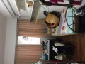 紫線文慶地鐵站公寓女搭房床位出租