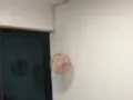 装灯换灯装吊扇