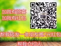 新加坡工作办理  单量多质量好   不成功不收费  微信13351610307