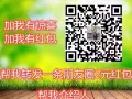 新加坡工作办理  单量多质量好   不成功不收费  微信13351610307
