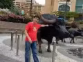 寻找猎物
