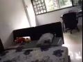 女皇镇普通大房间出租