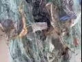挂网 丝网 螃蟹网 渔网 撒网 地笼 鱼竿