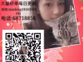 新加坡美甲美睫详情加微xiaobing18243550561