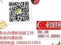 海量新加坡一手工作单 覆盖全岛 绝对靠谱中介 微信电话同步19800311953