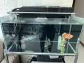 全套设备二尺鱼缸.三尺鱼缸出售