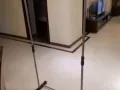 因为要回国，所有东西贱卖了，欢迎大家进来看看（智能电饭煲、晾衣杆、风扇，地毯等）