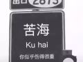 中国wp有国内驾照求职