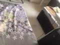普通房招租。限女生