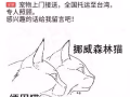 小幸福萌宠国际宠物托运