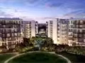 淡濱尼公寓 parc olympia 房出租