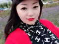 马来西亚家这里，免费办理，各种高新工作任你挑微信hsgjliuying