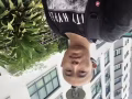 寻一搭伙女友，30岁左右，爱干净，三巴旺海军部