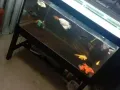 鱼缸出售