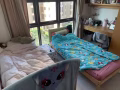 近BCA Kaplan博伟公寓招女搭房