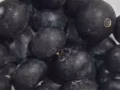 每日新鮮蔬菜、水果、雞蛋、米麵、糧油、肉類全島免費送貨上門，質優價廉。