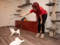 Save and rescue global animals donation