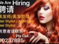 招聘理发师与助理