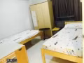 文礼普通房女搭房出租