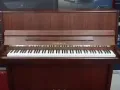 Bohemia 钢琴，高度1.1m，棕色，世界名牌，捷克制造 200325