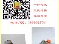 主营各种品牌，中高端货源，批发放店，诚招代理一件代发。