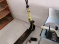 本人有一辆电动车