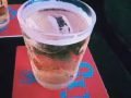 有女生想要 停工时期 赚些外快吗？
