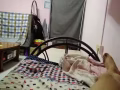 先驱体育场附近招主人房下铺两个，不报地址，不收押金，机会难得