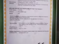 一次性医用口罩