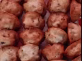 现做现卖福清海蛎饼