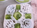 Catit喂食器