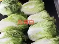 榜鹅蔬菜群