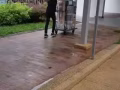 (搬家）Mover Services