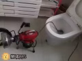 专业疏通各类下水，地漏，管道，马桶，修马桶漏水，换水龙头，安灯换灯换锁！组装家私