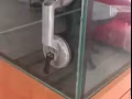 賣魚缸