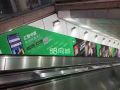 来了解一下熊猫汇款