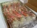 零售批发俄罗斯雪蟹