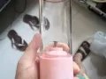 迷你榨汁机