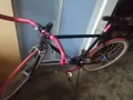 卖自行车🚲