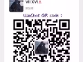 中国-新加坡/马来西亚集运送货上门，不损货不丢货，经营数十年，诚信第一！欢迎咨询