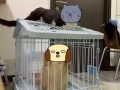 二手七成新宠物笼子