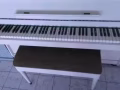 舒密尔(Schimmel)钢琴