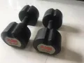 10KG哑铃一对