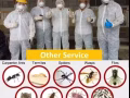 新加坡专业白蚁灭虫消毒服务 88768923