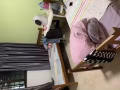 找一女生合租