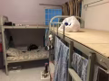 三巴旺468D招男搭档。欢迎爱干净人士随时入住