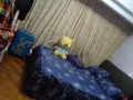 友落士有公寓普通房出租，男女搭房出租，可报本屋地址，随时入住价格优惠远离红绿灯，